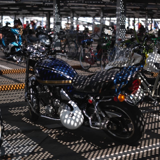 Will-Hasselblad_0423